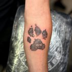 Tattoo Studio Andre Armani