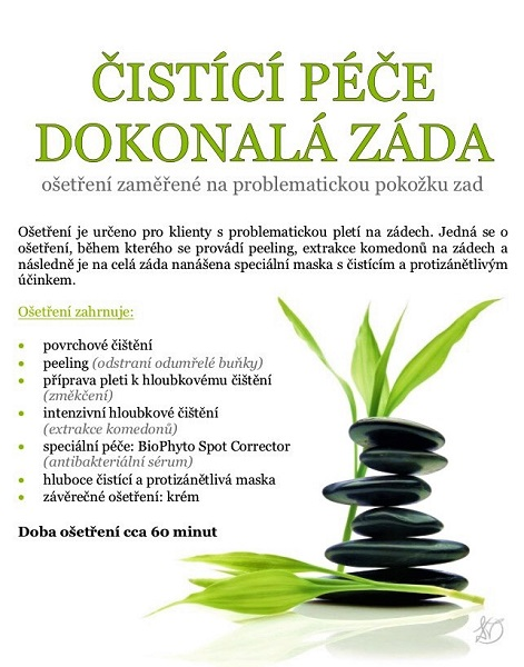 dokonala-zada